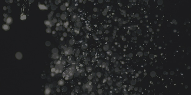 image photo