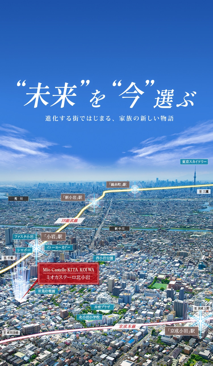 空撮写真