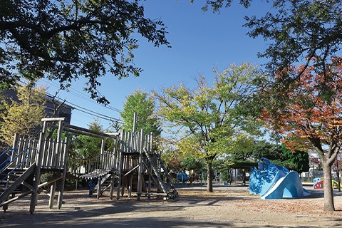 image photo