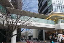 image photo