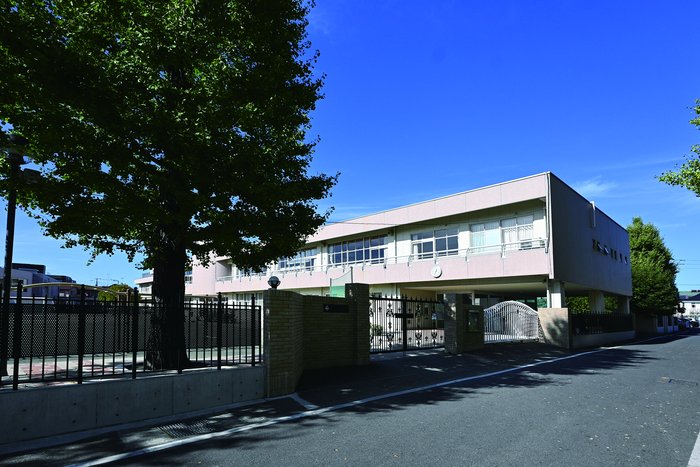 image photo