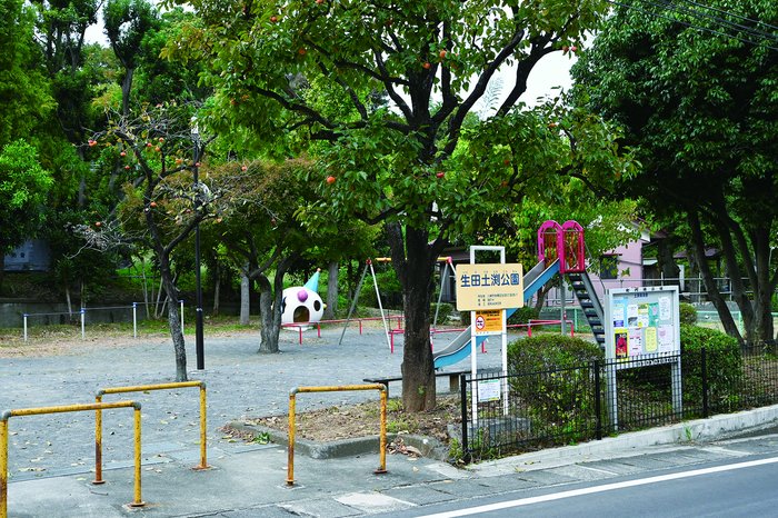 image photo