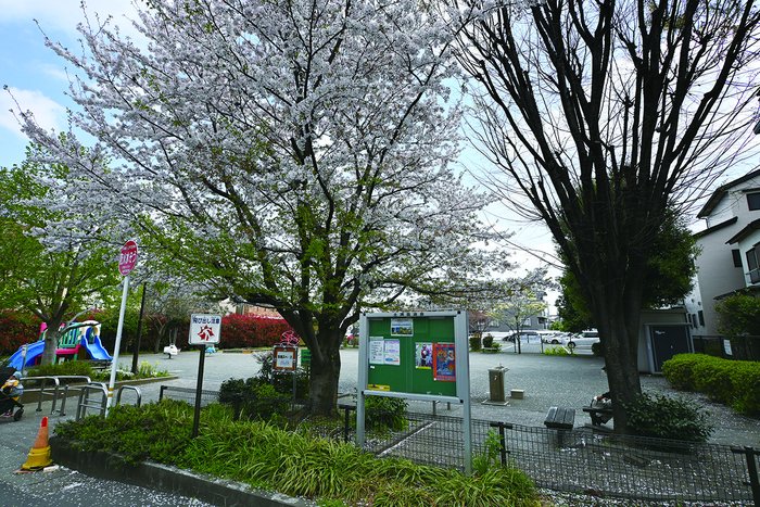 image photo