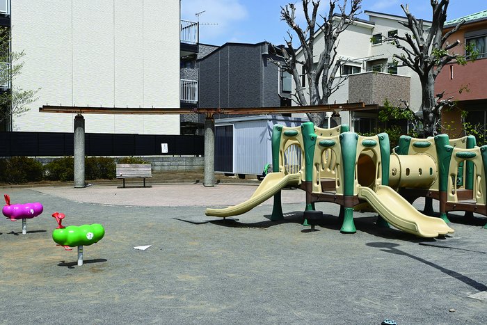 image photo