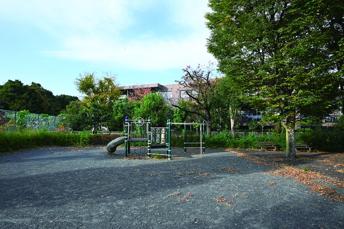 image photo