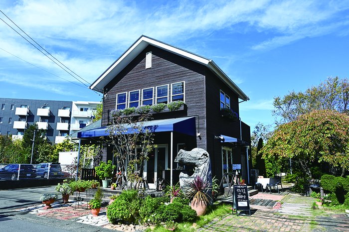 image photo