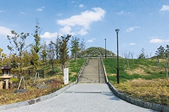 image photo